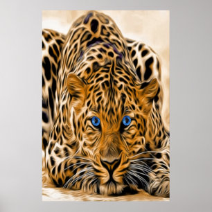 Blaues Auge Leopard Poster