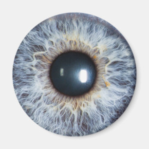 blaues Auge Magnet