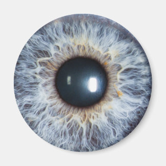 blaues Auge Magnet