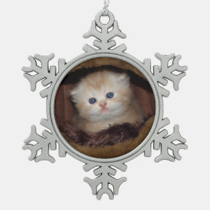 Blaues Auge zungenkätzchen Schneeflocken Zinn-Ornament