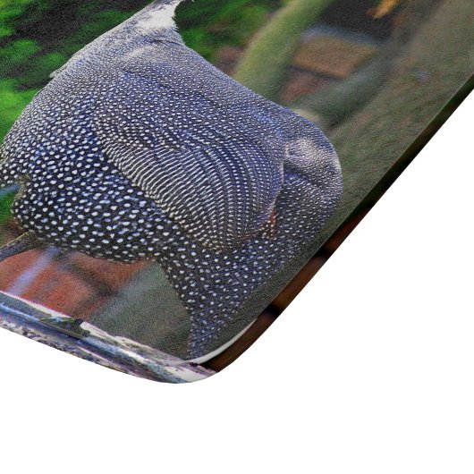 Blaues behelmtes Guinea-Geflügel stehend in der Schneidebrett (Ecke)