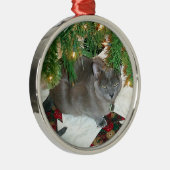 Blaues Birmane-Weihnachten Silbernes Ornament (Rechts)