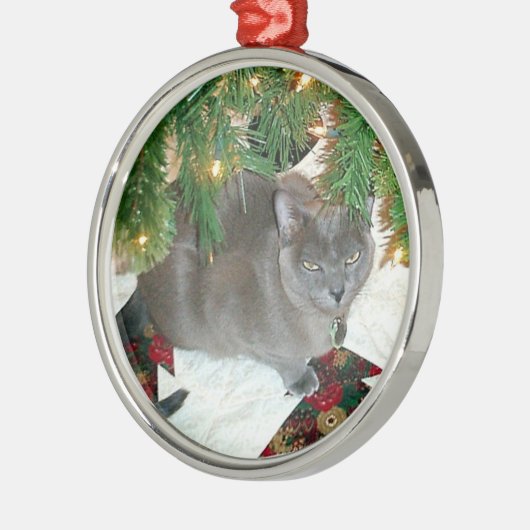 Blaues Birmane-Weihnachten Silbernes Ornament (Links)