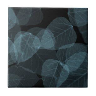 Blaues Blatt X-Ray.png Fliese