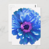 Blaues blaues blühendes Foto Postkarte (Vorne/Hinten)