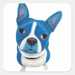 Blaues Boston Terrier Quadratischer Aufkleber