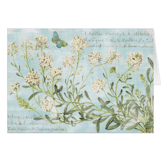 Blaues botanisches (Vorderseite (Horizontal))