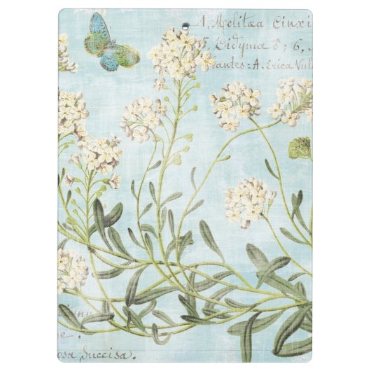 Blaues botanisches klemmbrett (Rückseite)