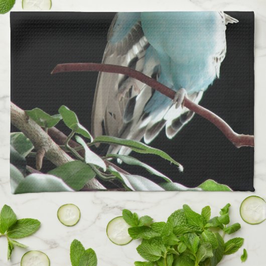 Blaues Budgie Geschirrtuch (Gefaltet)