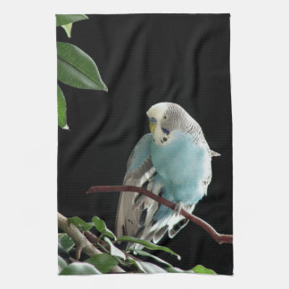 Blaues Budgie Geschirrtuch