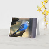 Blaues Budgie Karte (Gelbe Blume)
