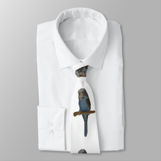 Blaues Budgie Krawatte (Gebunden)
