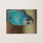 Blaues Budgie Puzzle (Horizontal)