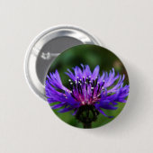 Blaues Button (Vorne & Hinten)