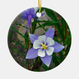 Blaues columbine keramikornament