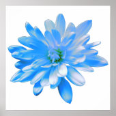 Blaues Daisy, Retro-Foto Poster (Vorne)