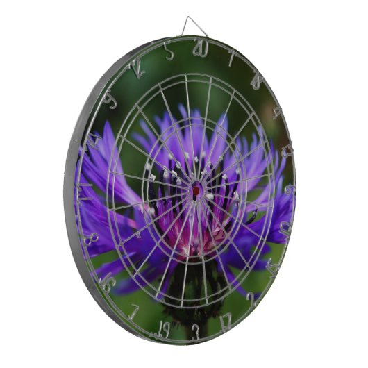 Blaues Dartscheibe (Vorderseite Links)