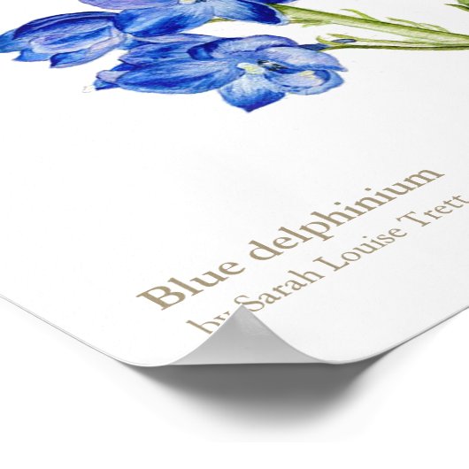 Blaues Delphinium Botanisches Kunstposter Poster (Ecke)