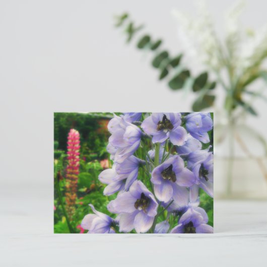 Blaues Delphinium Postkarte (Stehend Vorderseite)