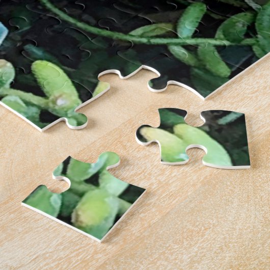 Blaues Echeveria Imbricata und grünes Sedum Sukkul Puzzle (Seite)