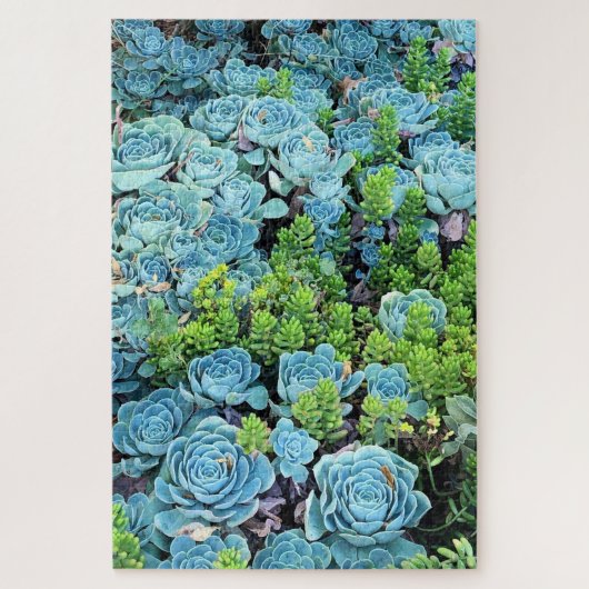 Blaues Echeveria Imbricata und grünes Sedum Sukkul Puzzle (Vertikal)