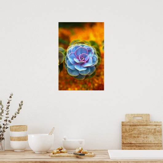 Blaues Echeveria Poster (Küche)