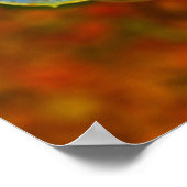 Blaues Echeveria Poster (Ecke)