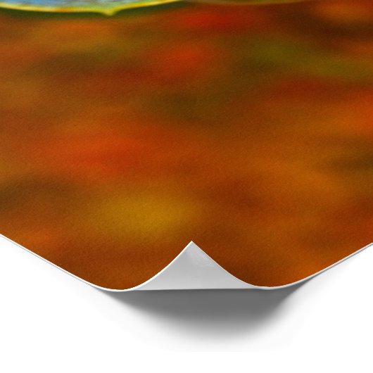 Blaues Echeveria Poster (Ecke)