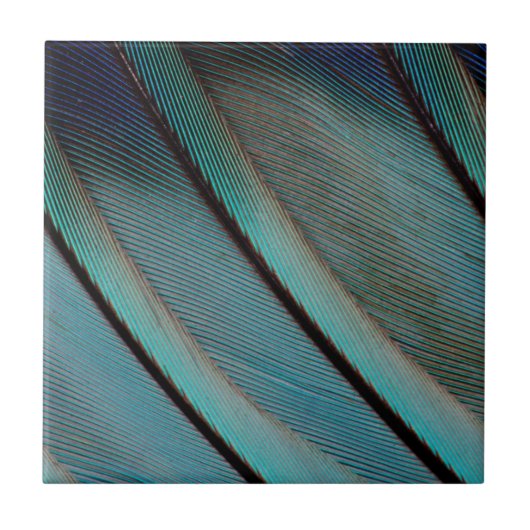 Blaues Feder Muster Fliese (Vorderseite)