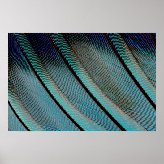 Blaues Feder Muster Poster (Vorne)