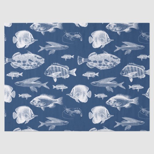 Blaues Fischen Seidenpapier (Vorderseite)