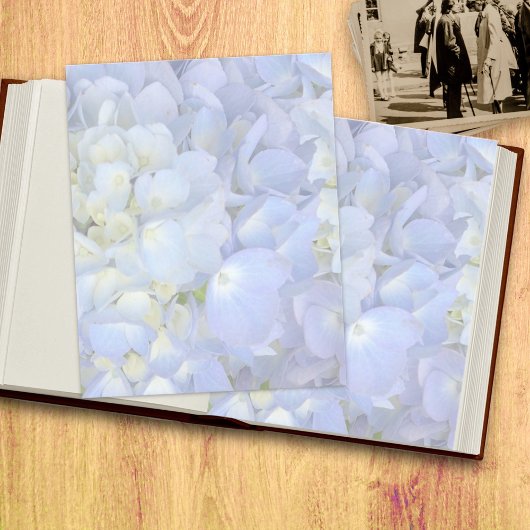 Blaues, florales, zweiseitiges, schwarzes Druckpap