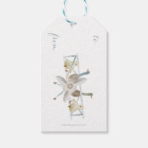 Blaues Flugzeug-Geschenk-Tag