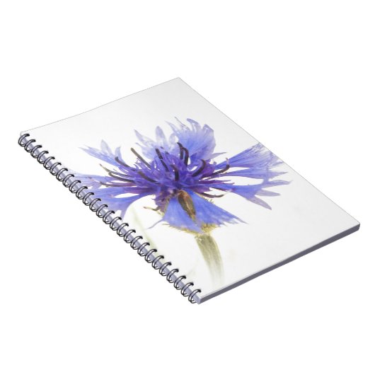 Blaues Foto Notizblock (Rechte Seite)