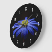 Blaues Gänseblümchengerbera-Blume auf einem Große Wanduhr (Winkel)