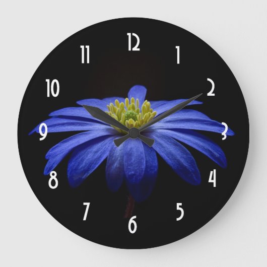 Blaues Gänseblümchengerbera-Blume auf einem Große Wanduhr (Vorderseite)