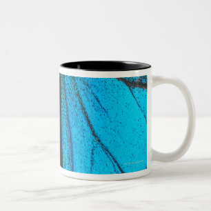 Blaues GebirgsFrack (Papilio Ulysses) Zweifarbige Tasse