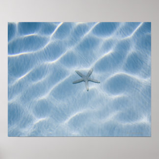Blaues Gewässer mit Seestern Poster