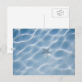 Blaues Gewässer mit Seestern Postkarte (Vorne/Hinten)