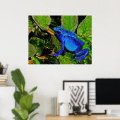 Blaues Gift Dart Frog Dendrobates azureus Poster (Heimbüro)