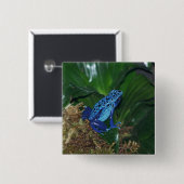Blaues Gift-Pfeil-Frosch-Porträt Button (Vorne & Hinten)