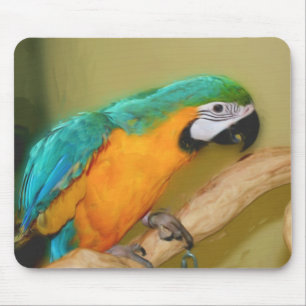 Blaues Goldmacaw-Papageien-Malerei-Tier Mousepad