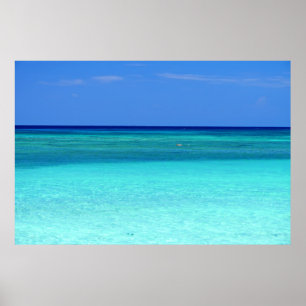 Blaues grünes Paradies Poster