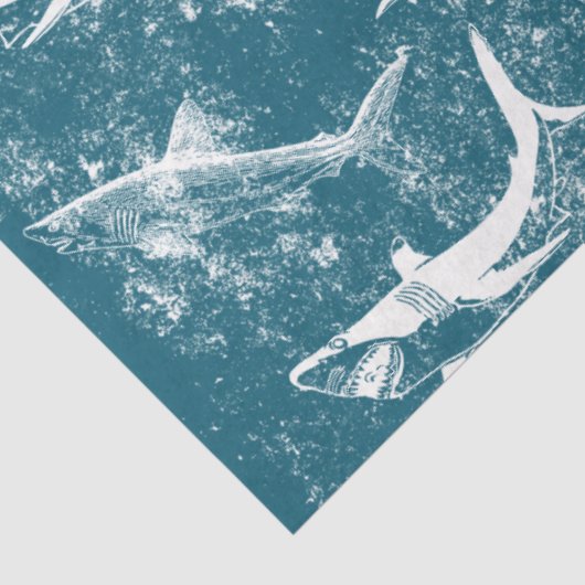 Blaues Hai-Muster Seidenpapier (Ausschnitt)