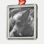 Blaues Heeler Ornament Aus Metall (Links)