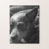 Blaues heeler puzzle (Vertikal)