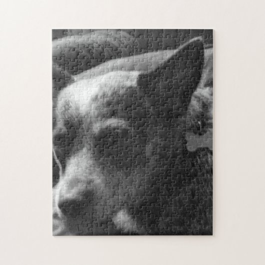 Blaues heeler puzzle (Vertikal)