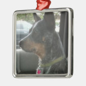 Blaues heeler silbernes ornament (Links)