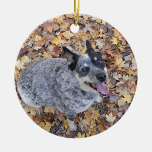 BLAUES HEELER WEIHNACHTEN ORNAME DES AUSTRALISCHER KERAMIKORNAMENT (Vorne)