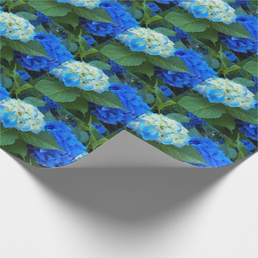 Blaues Hydrangea Bloms Blumenmuster Geschenkpapier (Ecke)
